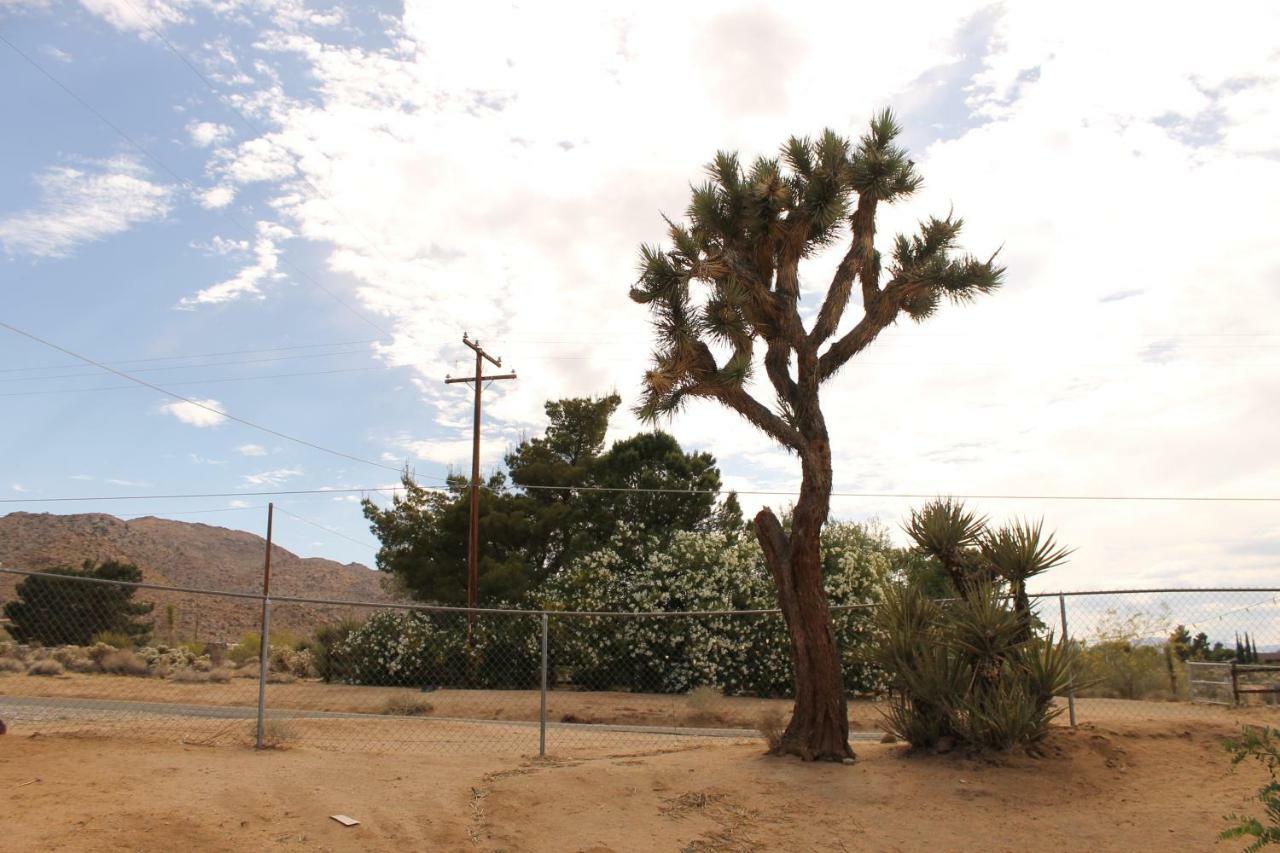 Eclectic Joshua Tree Villa Eksteriør billede